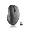 Souris sans fil NGS Evo Rust (Noir)
