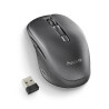 Souris sans fil NGS Evo Rust (Noir)