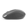 Souris sans fil NGS Haze (Noir)