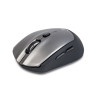 Souris sans fil Bluetooth NGS Frizz (Noir Gris)