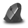 Souris sans fil ergonomique NGS Evo Zen (Gris)