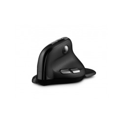 Souris sans fil Bluetooth ergonomique Urban Factory Ergo Max RGB pour Droitier(Noir)