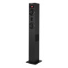 Colonne de son Enceintes Bluetooth NGS Skycharm 2.1 (Noir)
