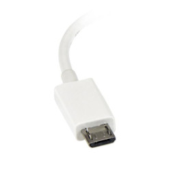 Adaptateur micro USB mâle vers USB femelle (OTG) Startech pour smartphone tablette (Blanc)