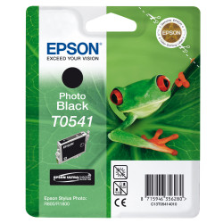 Cartouche d'encre Epson Grenouille T0541 (Noir Photo)