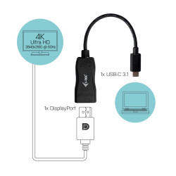Cable adaptateur USB Type C I-Tec vers DisplayPort 10cm (Noir)