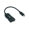 Cable adaptateur USB Type C I-Tec vers DisplayPort 10cm (Noir)