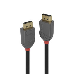 Câble DisplayPort 1.4 Lindy 2m M M (Gris)