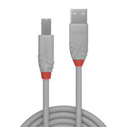 Cable Lindy USB 2.0 type A - B M M 50cm (Gris)