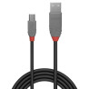 Cable Lindy USB 2.0 type A - Mini B M M 5m (Gris)