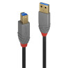 Cable Lindy USB 3.0 type A - B M M 3m (Gris Noir)