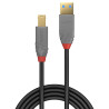 Cable Lindy USB 3.0 type A - B M M 3m (Gris Noir)