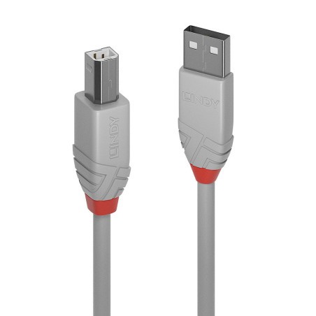 Cable Lindy USB 2.0 type A - B M M 3m (Gris)