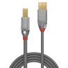 Cable Lindy USB 2.0 type A - B M M 1m (Gris)