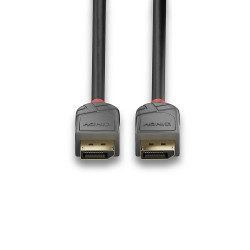 Cable DisplayPort 1.4 Lindy 1m (Noir Gris)