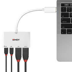 Hub USB 3.1 Lindy - 2 ports type A + 2x type C (Blanc)