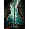 Puzzle Ravensburger - XXL   Harry Potter VS Voldemort (200 pièces)