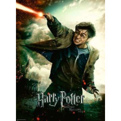 Puzzle Ravensburger - XXL   Le monde fantastique d Harry Potter (100 pièces)