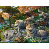 Puzzle Ravensburger - Loups Printemps (1500 pièces)