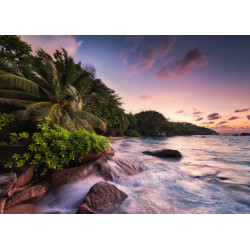 Puzzle Ravensburger - Ile de Praslin aux Seychelles (1000 pièces)