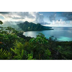 Puzzle Ravensburger - Vue sur Hawaï (5000 pièces)