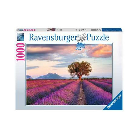 Puzzle Ravensburger - Champ de Lavande (1000 pièces)