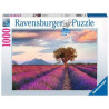 Puzzle Ravensburger - Champ de Lavande (1000 pièces)