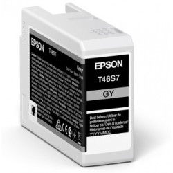 EPSON ENCRE T46S7 G 25ML