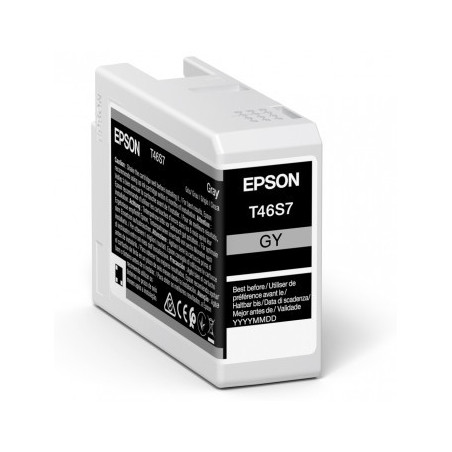 EPSON ENCRE T46S7 G 25ML