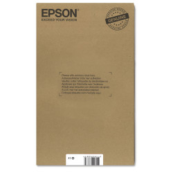 EPSON ENCRE 29 C.M.J.N EASYMAIL