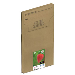 EPSON ENCRE 29 C.M.J.N EASYMAIL