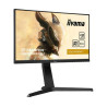 Ecran IIYAMA 25 Noir G-MASTER Gold Phoenix IPS 240Hz 1920x1080 0.4ms 400 cd m  