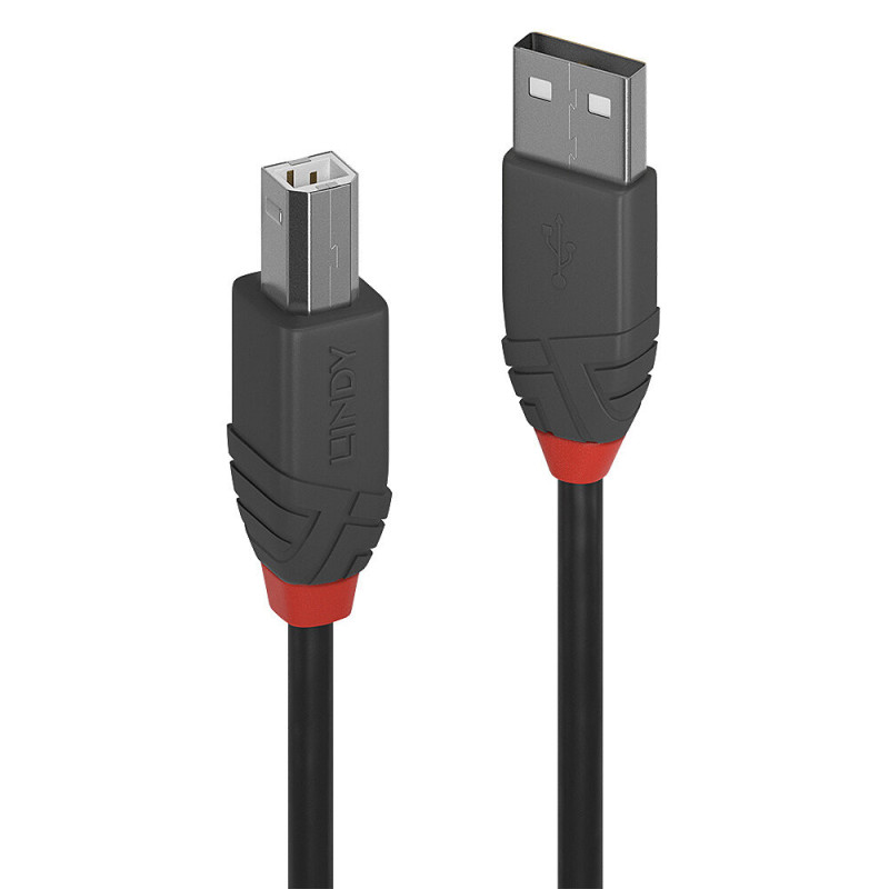 Cable Lindy USB 2.0 type A - B M M 3m (Noir Rouge)