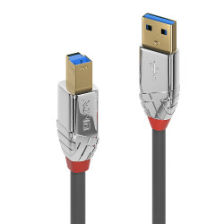 Cable Lindy USB 3.2 vers type B M M 1m (Gris)