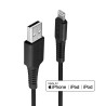 Câble USB A Lindy vers Lightning 50cm (Noir)