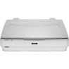 EPSON SCAN EXPRESSION 13000XL