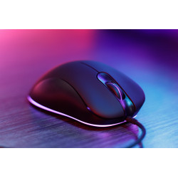 VERBATIM SOURIS CONDOR CLAW RVB