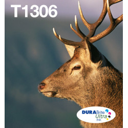 EPSON ENCRE T1306 EASYMAIL C.M.J