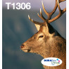 EPSON ENCRE T1306 EASYMAIL C.M.J