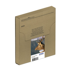 EPSON ENCRE T1306 EASYMAIL C.M.J