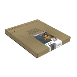 EPSON ENCRE T1306 EASYMAIL C.M.J