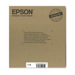 EPSON ENCRE T1306 EASYMAIL C.M.J