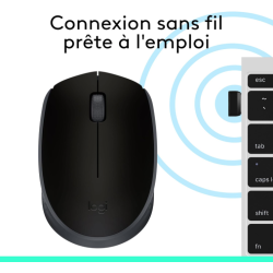 Souris sans fil Logitech B170 (Noir)