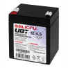 SALICRU BATTERIE UBT 12V 4,5Ah Technologie AGM Faible autodécharge 68 A (5s) Gar