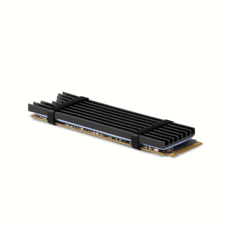 Dissipateur thermique pour SSD M.2 2280 Axagon CLR-M2L3 (Noir)