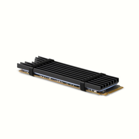 Dissipateur thermique pour SSD M.2 2280 Axagon CLR-M2L3 (Noir)