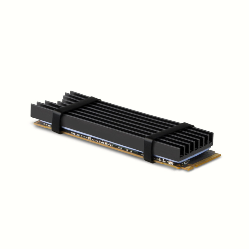 Dissipateur thermique pour SSD M.2 2280 Axagon CLR-M2L6 (Noir)