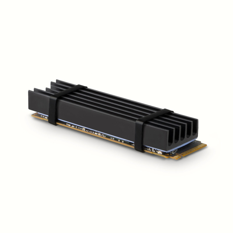 Dissipateur thermique pour SSD M.2 2280 Axagon CLR-M2L10 (Noir)