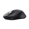 Souris sans fil Trust  Ferro Hyperscroll (Noir)