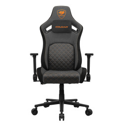 Fauteuil Cougar Defensor (Gris)